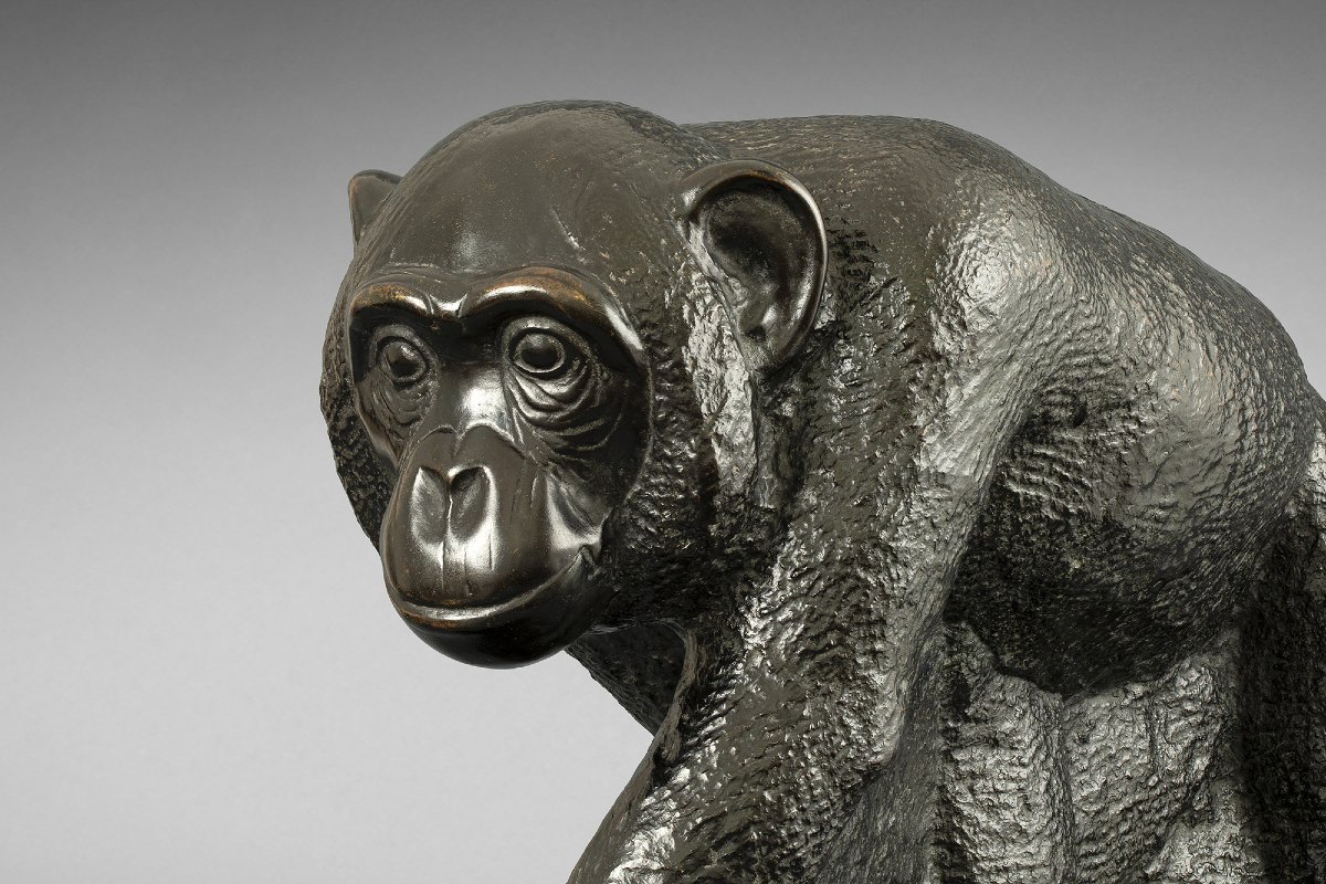 "chimpanzee" Mateo Hernández (1885 - 1949)-photo-5