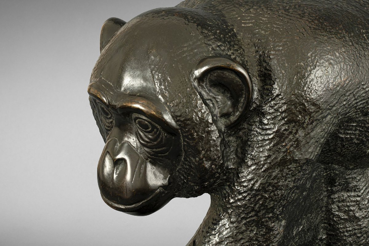 "chimpanzee" Mateo Hernández (1885 - 1949)-photo-6