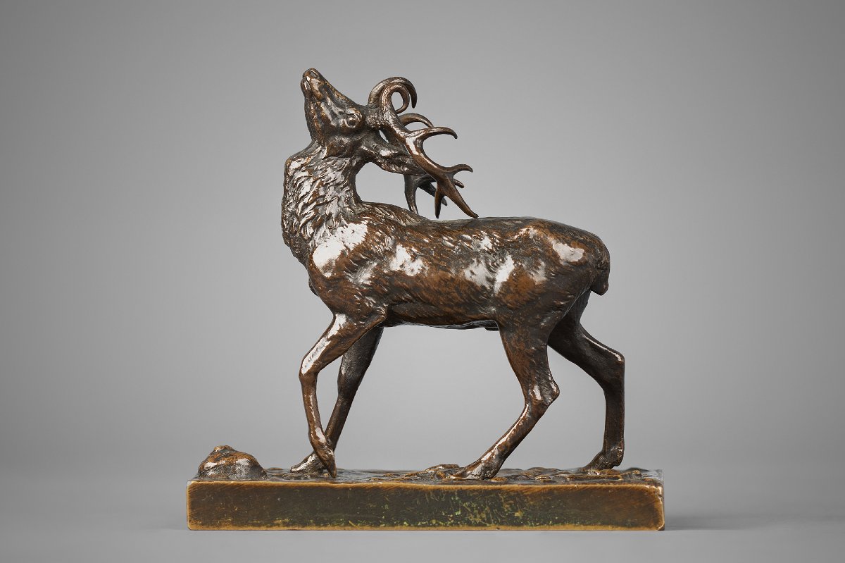 Cerf tête levée vers le haut   Antoine-Louis Barye (1795 - 1875)   Bronze circa 1840-photo-2
