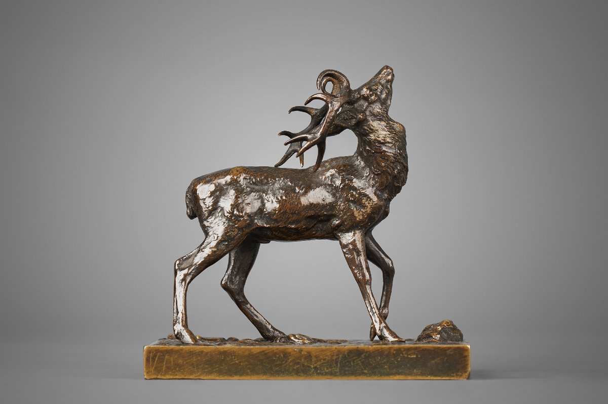 Cerf tête levée vers le haut   Antoine-Louis Barye (1795 - 1875)   Bronze circa 1840-photo-3