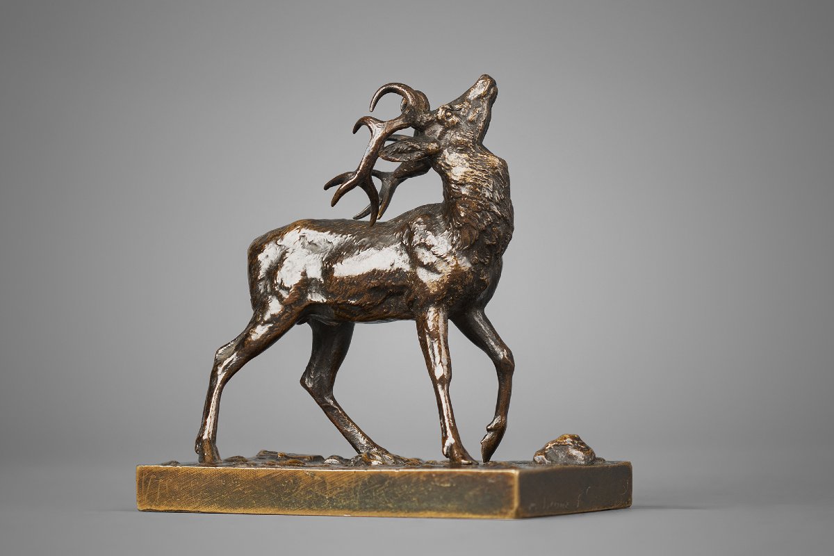 Cerf tête levée vers le haut   Antoine-Louis Barye (1795 - 1875)   Bronze circa 1840-photo-4