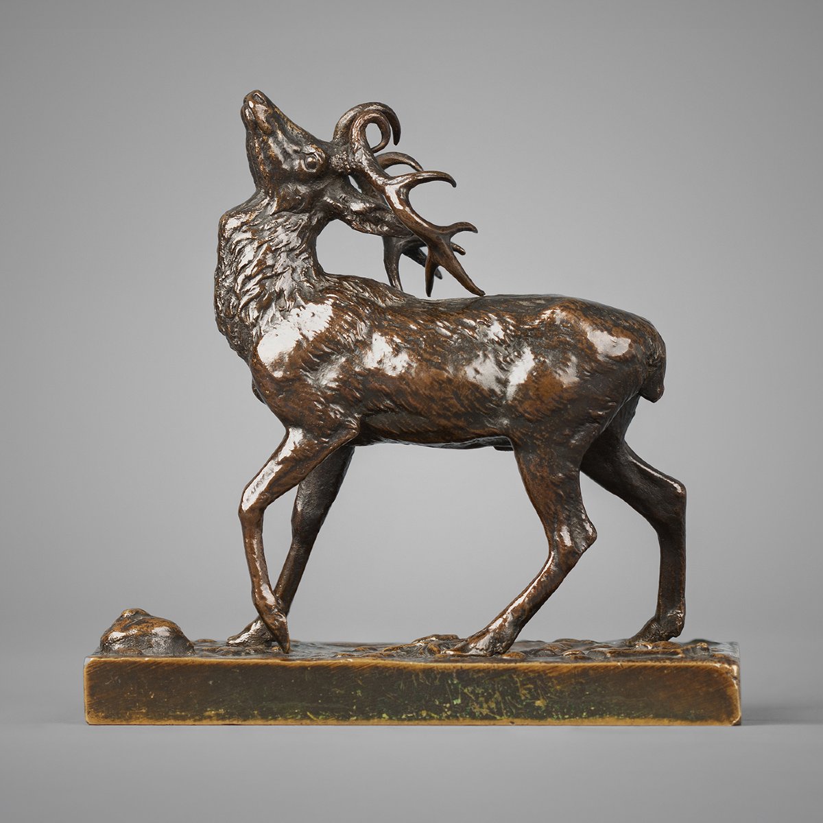 Cerf tête levée vers le haut   Antoine-Louis Barye (1795 - 1875)   Bronze circa 1840
