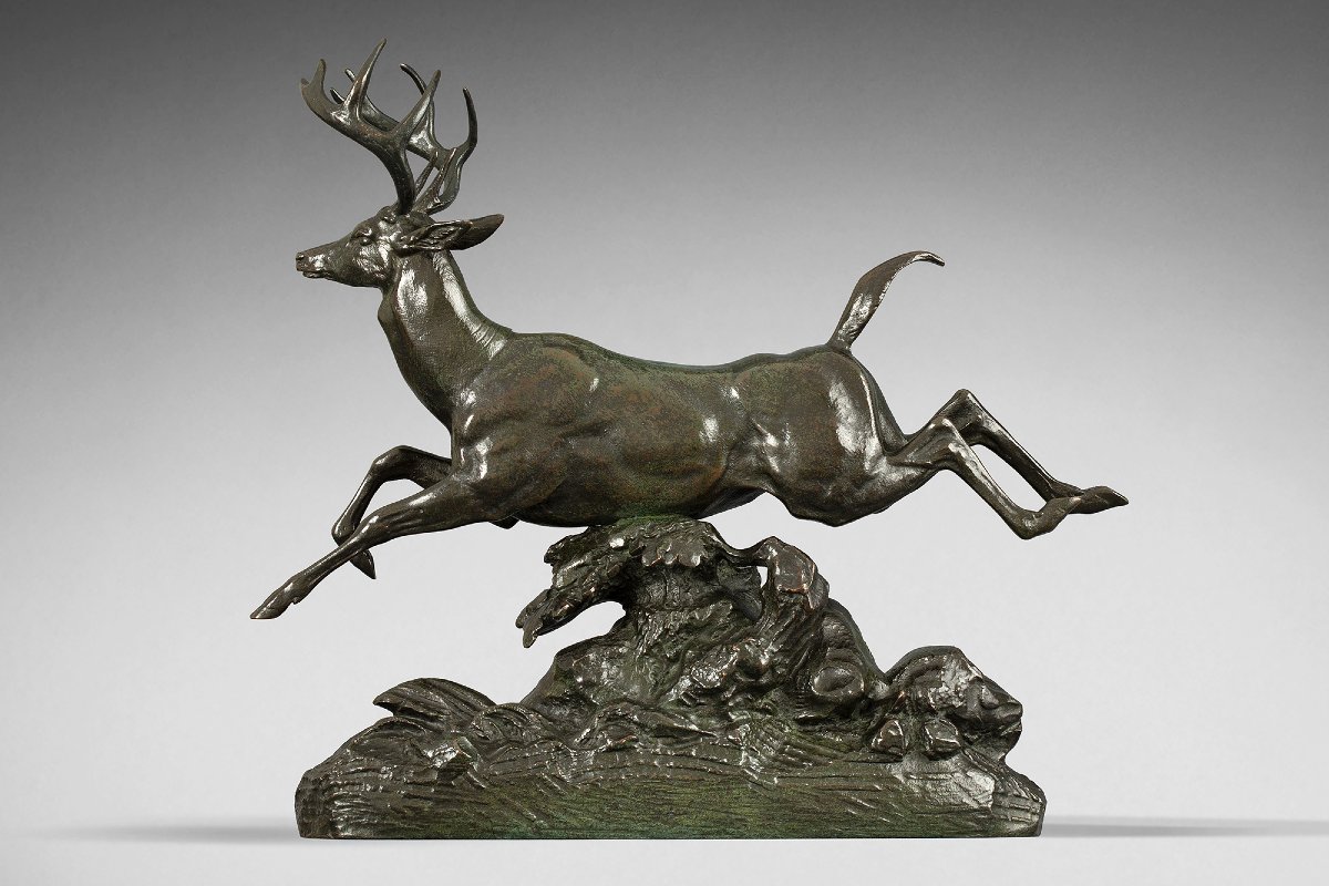 Cerf de Virginie s'élançant,  Antoine-Louis Barye (1795-1875)-photo-3