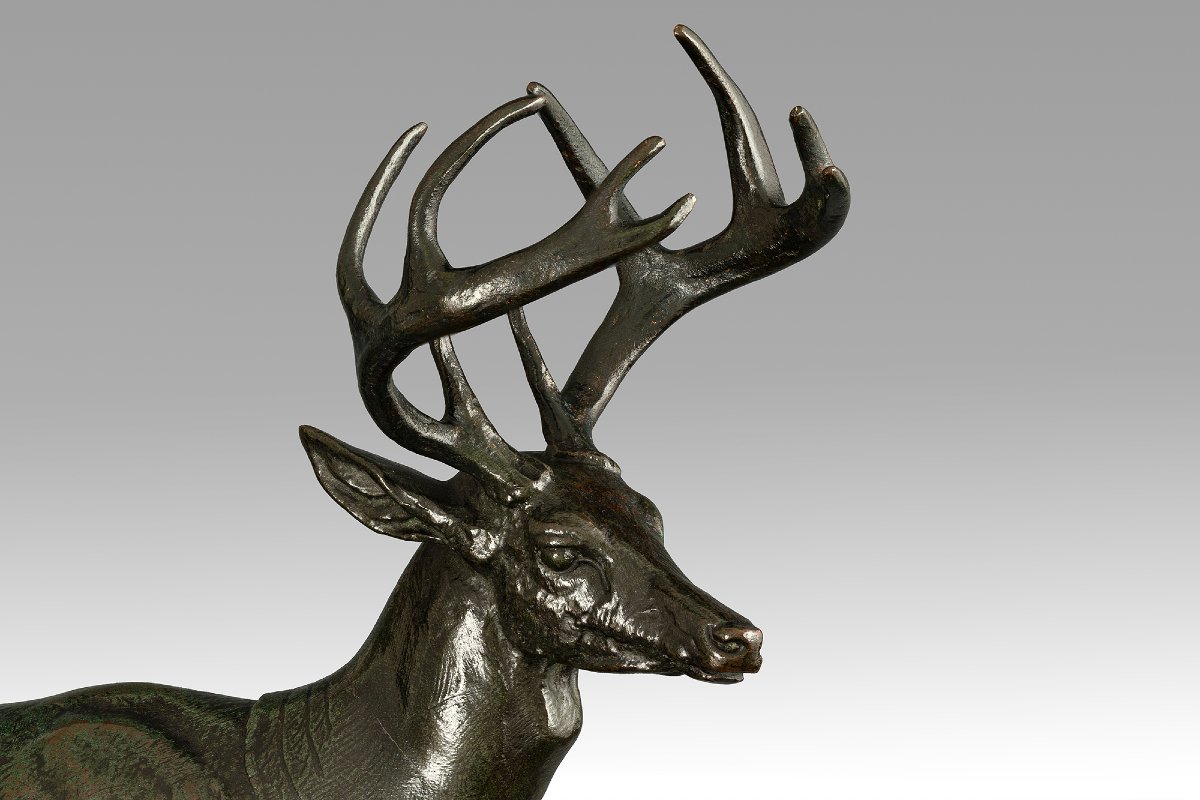 Cerf de Virginie s'élançant,  Antoine-Louis Barye (1795-1875)-photo-1