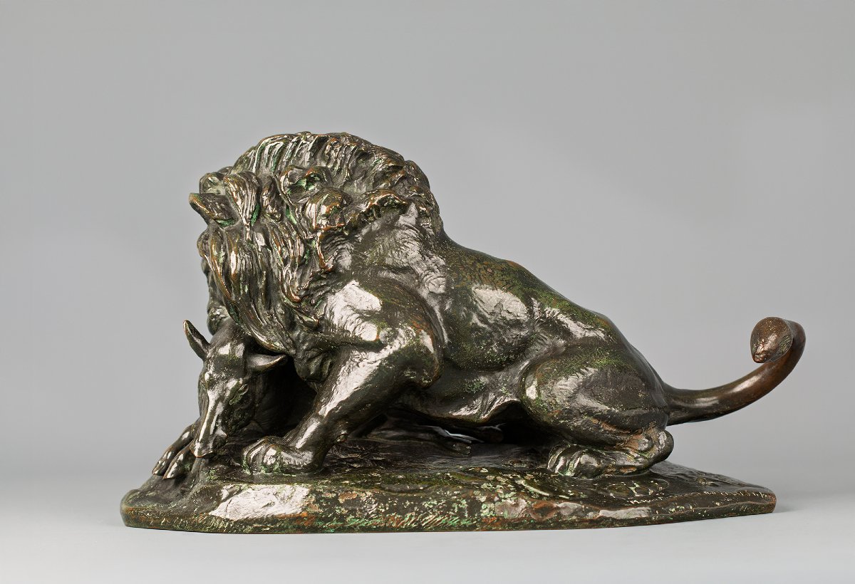Lion dévorant un sanglier, Antoine-Louis Barye (1795 - 1875)-photo-1