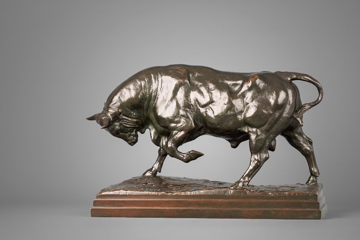 Taureau debout (seconde version),   Antoine-Louis Barye (1795 - 1875)-photo-2