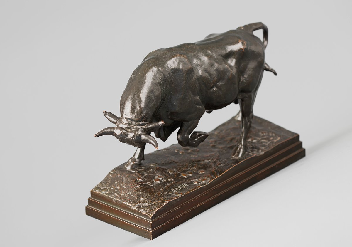 Taureau debout (seconde version),   Antoine-Louis Barye (1795 - 1875)-photo-4