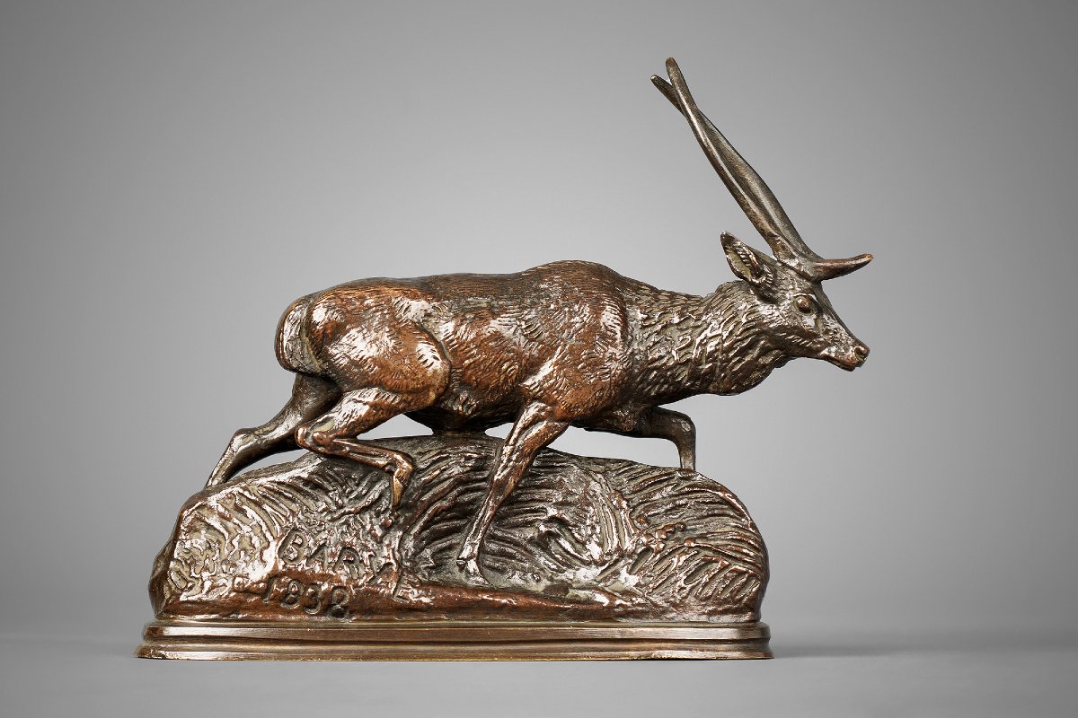 Cerf de Java, Antoine-Louis Barye (1795 - 1875)-photo-2