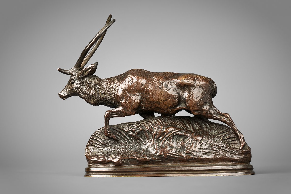 Cerf de Java, Antoine-Louis Barye (1795 - 1875)-photo-3