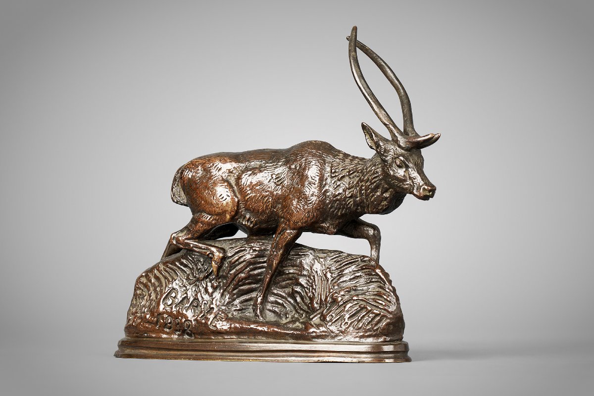 Cerf de Java, Antoine-Louis Barye (1795 - 1875)-photo-4