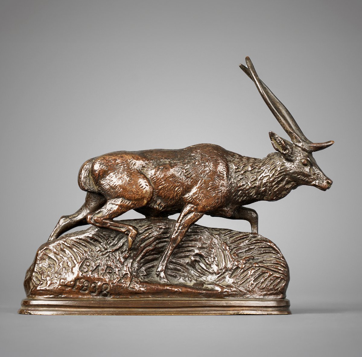 Cerf de Java, Antoine-Louis Barye (1795 - 1875)