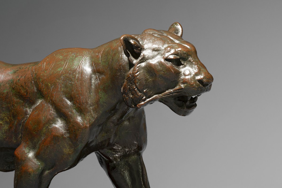 Walking Tiger, Antoine-louis Barye (1795–1875)-photo-3