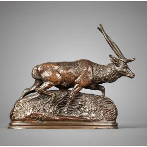 Cerf de Java, Antoine-Louis Barye (1795 - 1875)