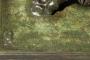 1845897-alb-6adfa6c415d0d.jpg
