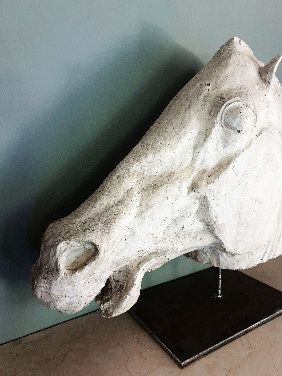 Large Horse Head, After The Horse Head Of The Chariot Of The Lunar Goddess Selene, Paris 1920-photo-1