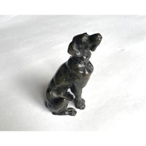 French School, 19th Century - Bronze Depicting A Dog 