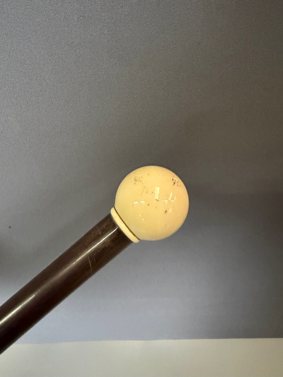 Cane With Ivory Knob-photo-3