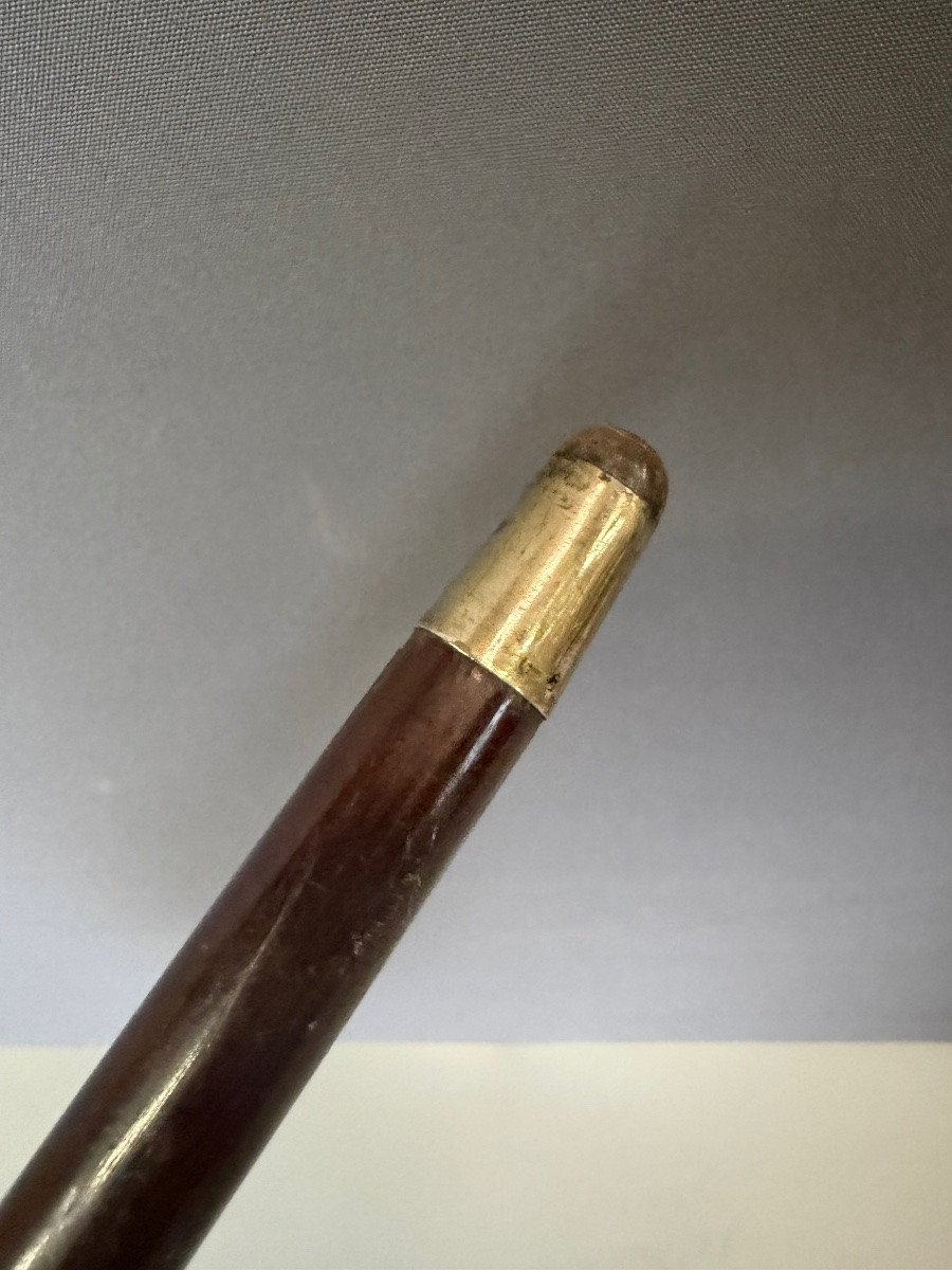 Cane With Ivory Knob-photo-4