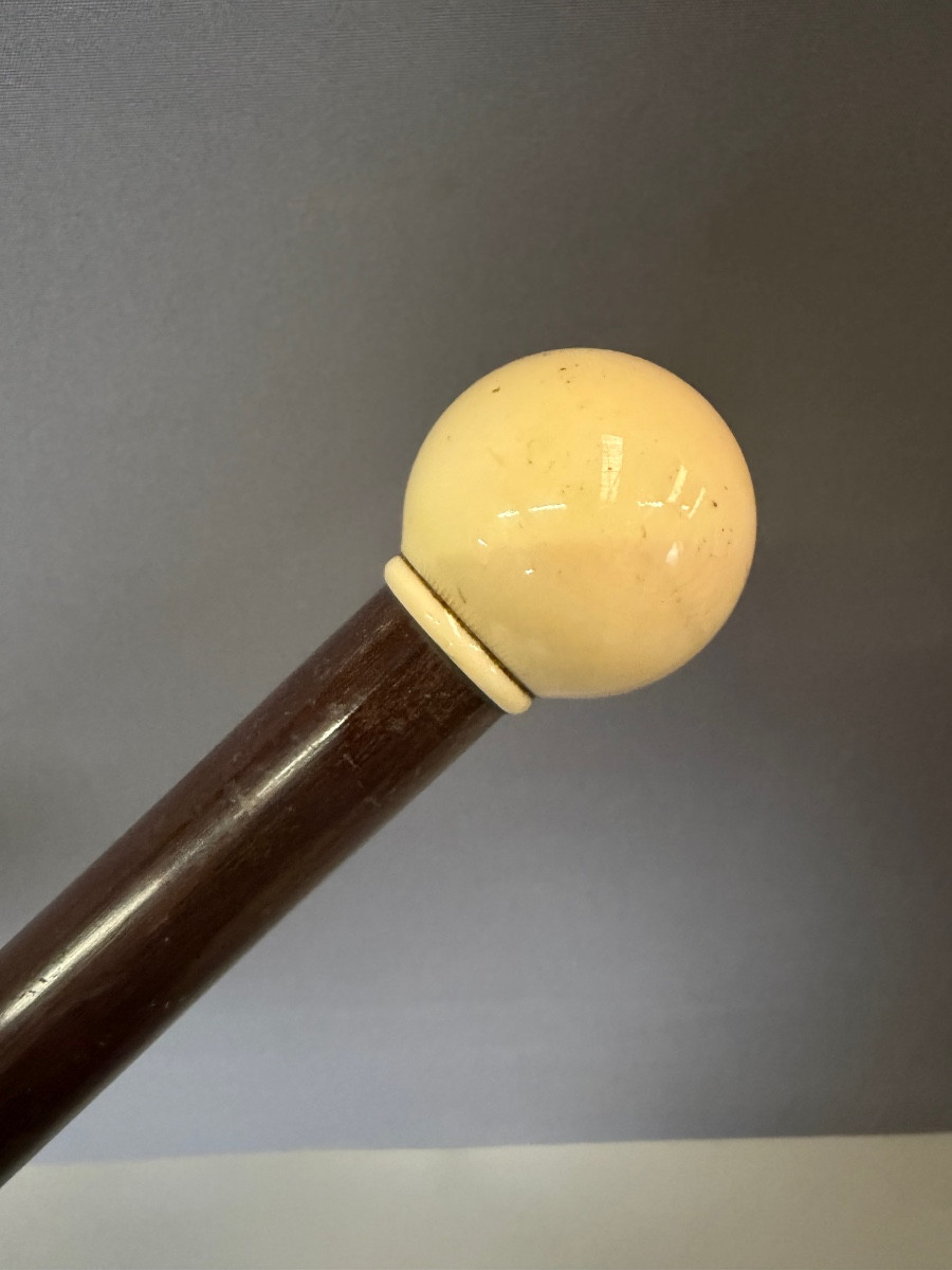 Cane With Ivory Knob