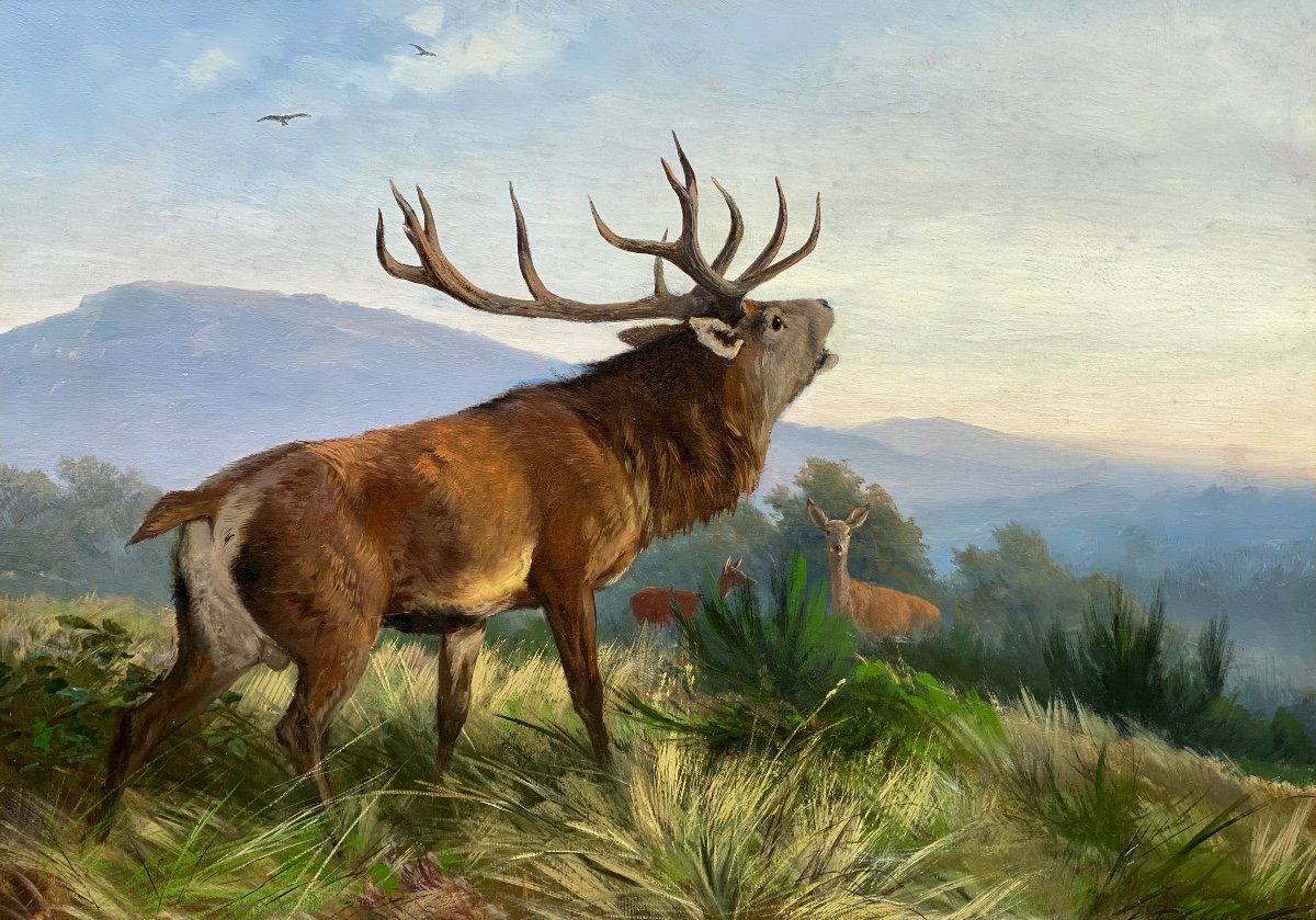 Cerf Rugissant, Deiker Carl Friedrich, Wetzlar 1836 - 1892 Dusseldorf, Peintre Allemand-photo-2