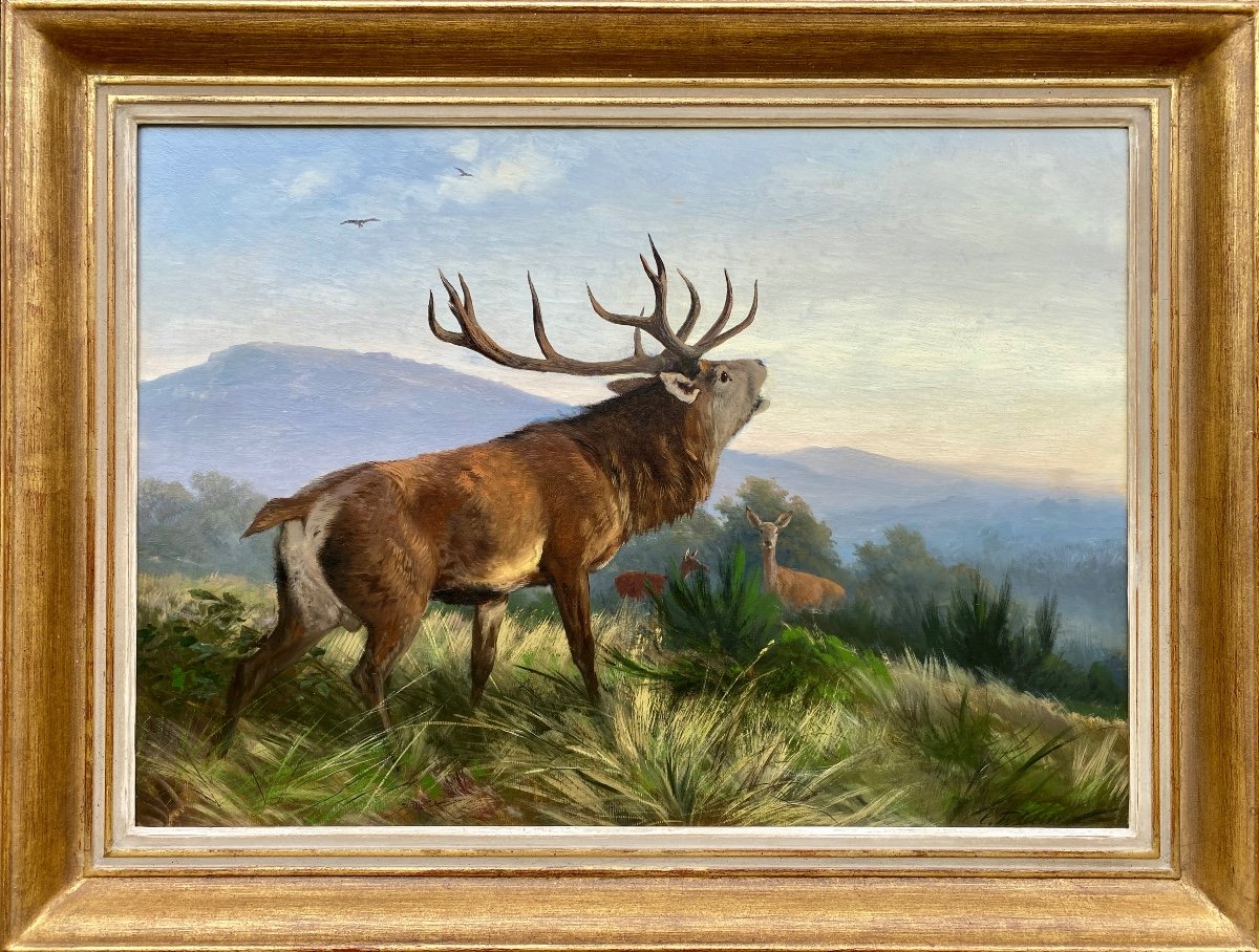 Cerf Rugissant, Deiker Carl Friedrich, Wetzlar 1836 - 1892 Dusseldorf, Peintre Allemand