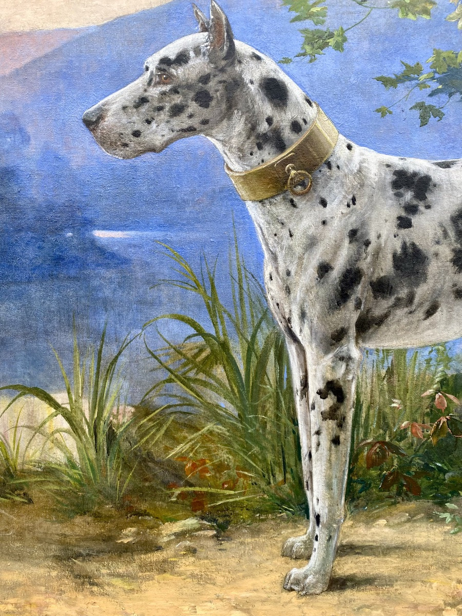 Octave Van Cuyck ( Ostende 1870 – 1956 Liège ) - ' Portrait D’un Dogue Allemand – Arlequin '-photo-1