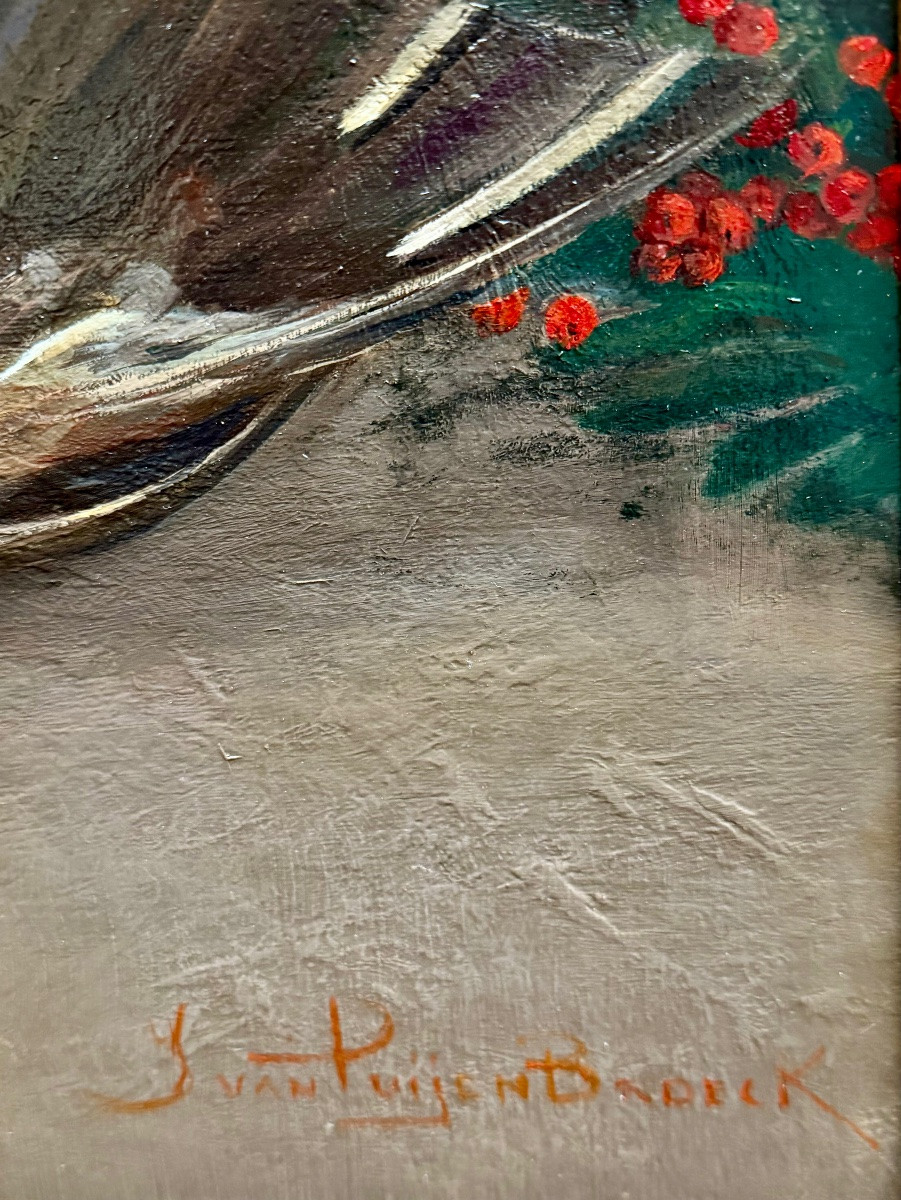 Jan Van Puyenbroeck (  Anvers 1887 – 1972 Schoten  ) - « Nature morte au paon »-photo-7