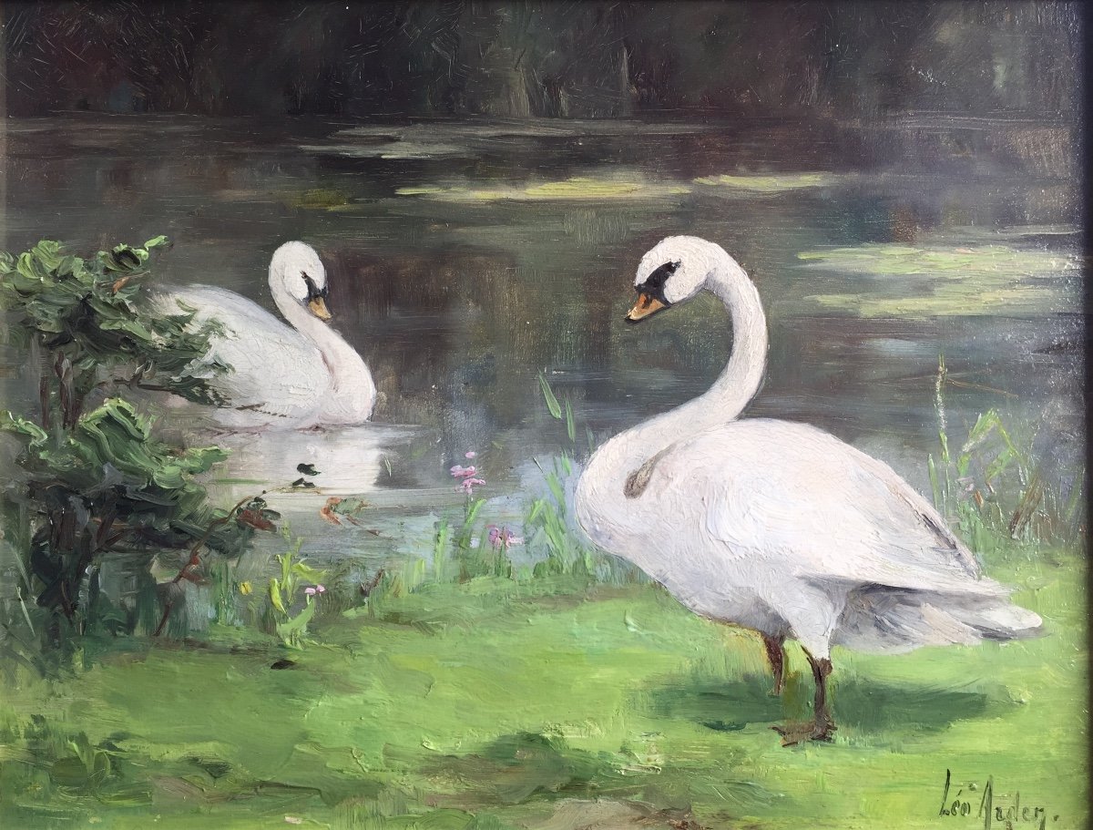 A Pair Of Swans, Arden Leo, Antwerp 1859 - 1904 Brussels-photo-2