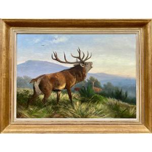 Roaring Deer, Deiker Carl Friedrich, Wetzlar 1836 - 1892 Dusseldorf, German Painter