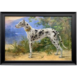 Octave Van Cuyck ( Ostende 1870 – 1956 Liège ) - ' Portrait D’un Dogue Allemand – Arlequin '