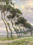 1757382-69ff9ce799993.jpg