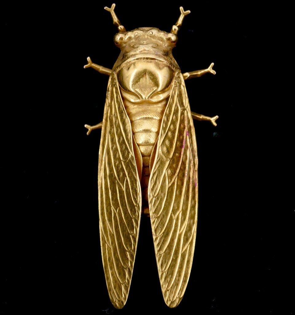 Broche cigale or XIX ème Félibrige -photo-1