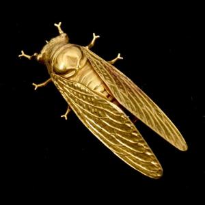 19th-century Félibrige Gold Cicada Brooch