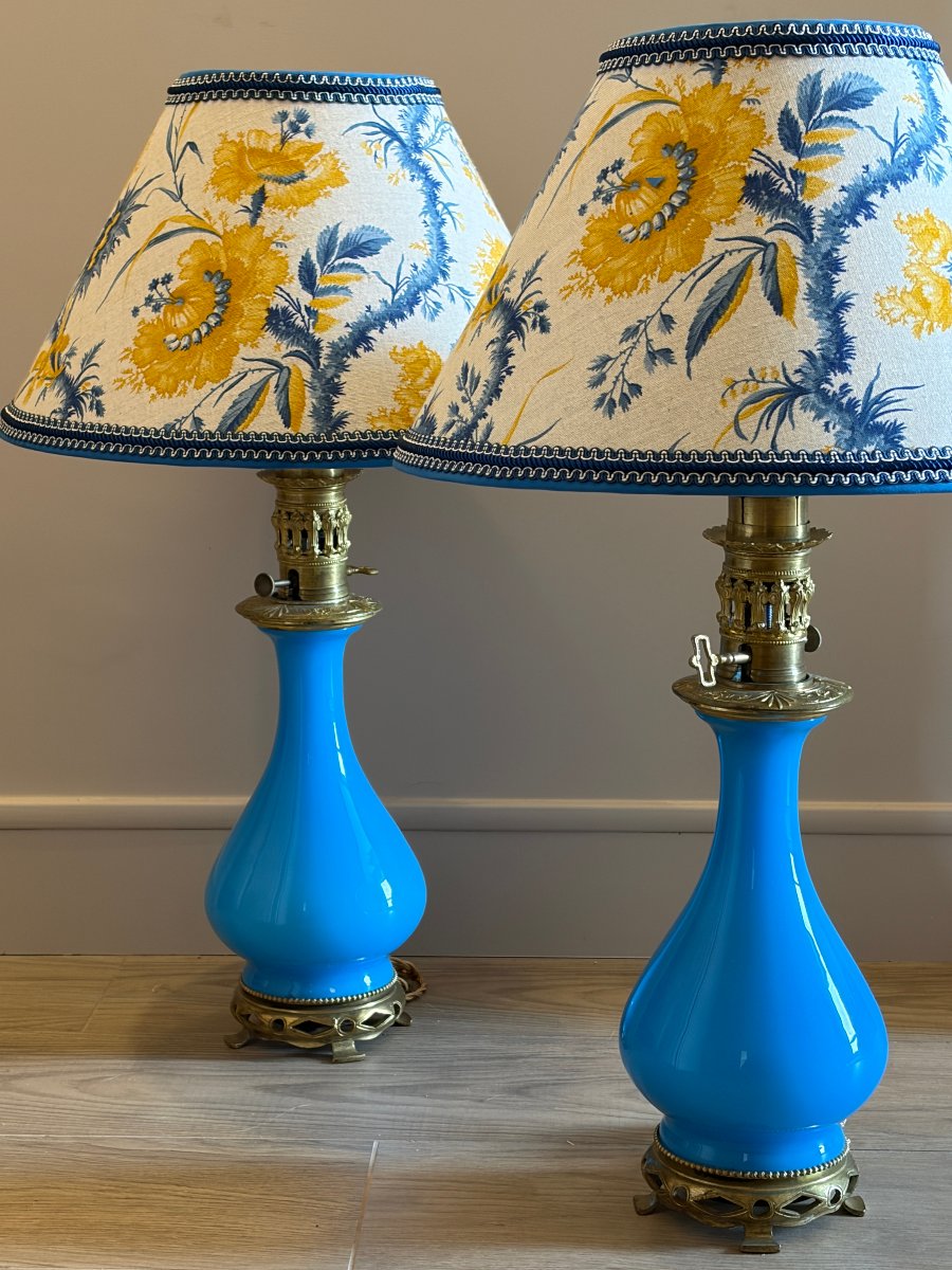 Paire de lampes en opaline . Époque Fin 19e