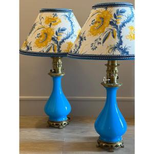 Paire de lampes en opaline . Époque Fin 19e