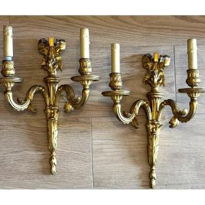 Paire d'appliques en bronze doré. Epoque Louis 16