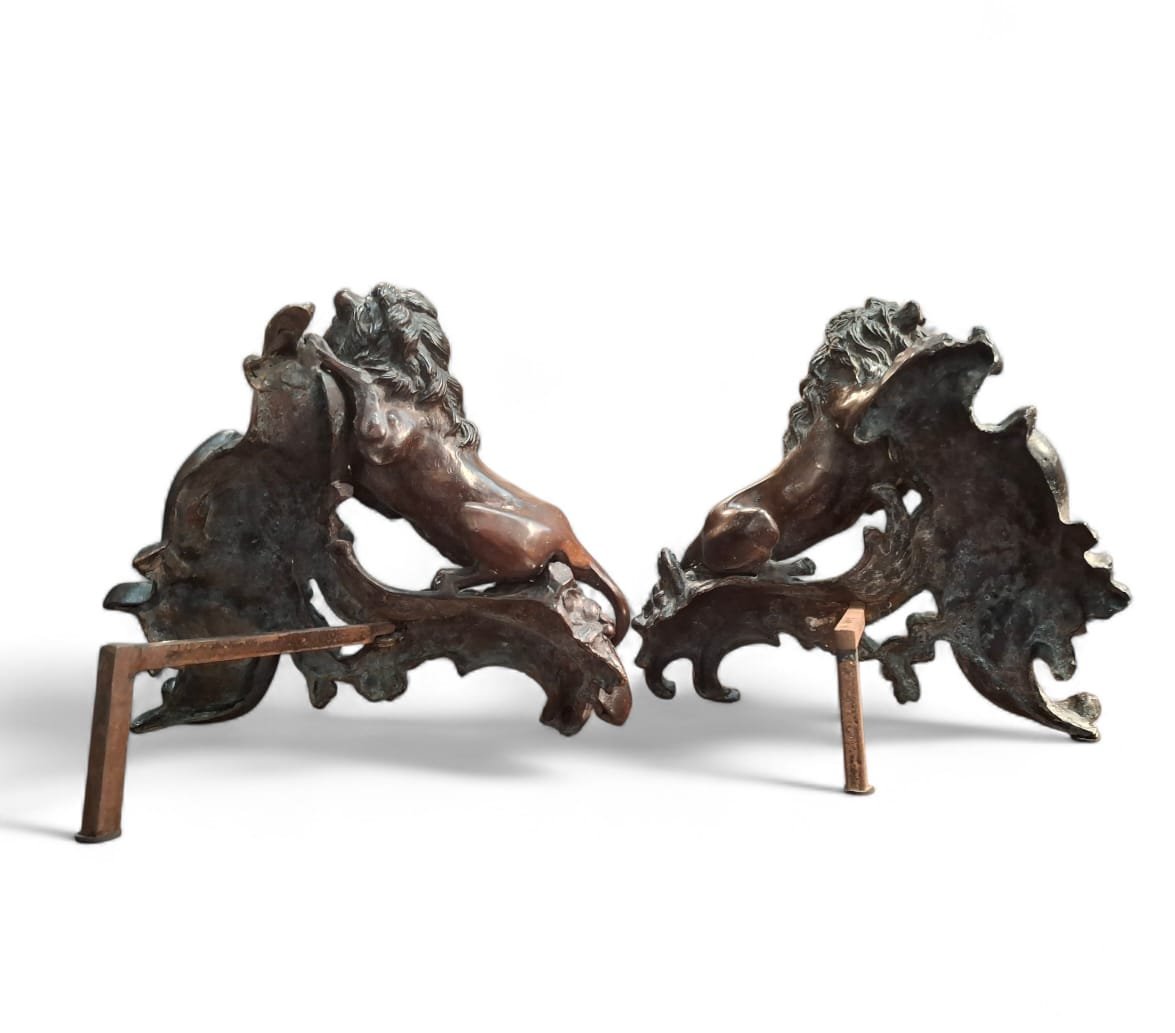 Pair Of Chiseled Bronze Rampant Lions-photo-1