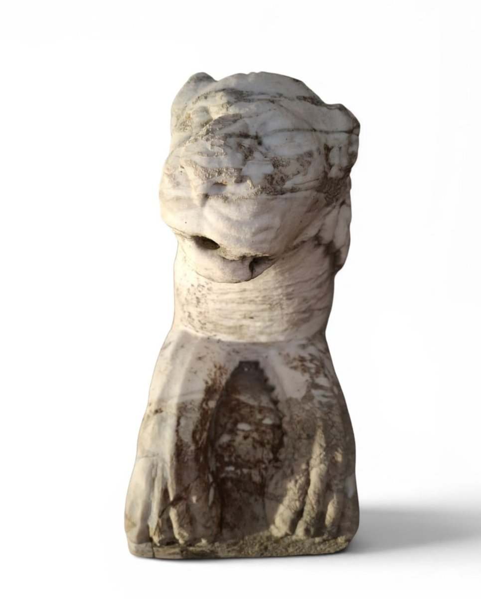 Paire de lions accroupis, sculptures en marbre-photo-6