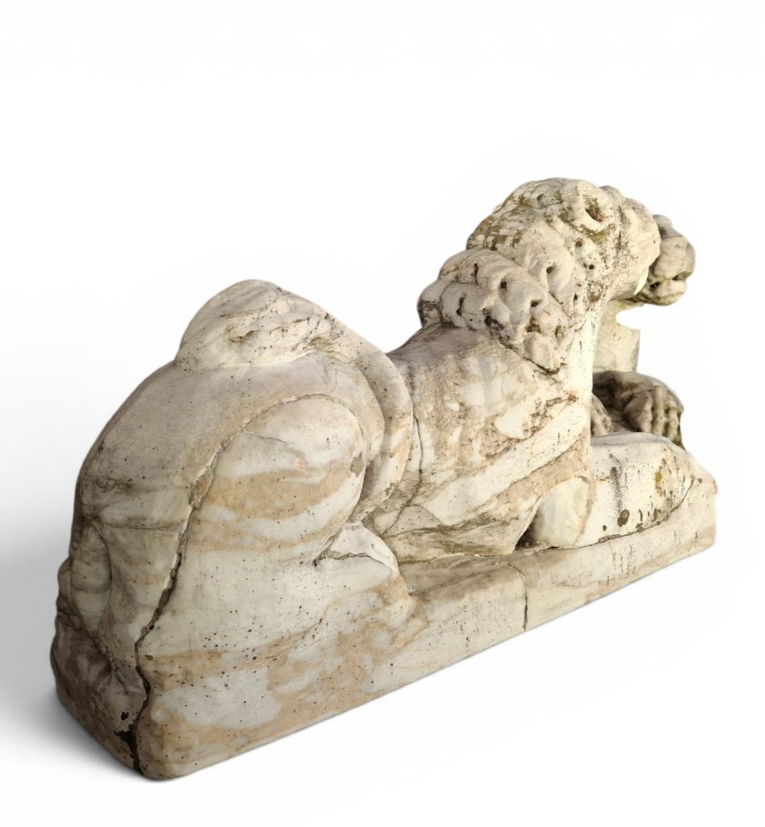 Paire de lions accroupis, sculptures en marbre-photo-7