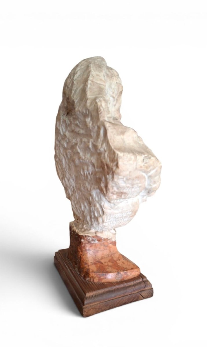 Bust Depicting Heraclitus-photo-4