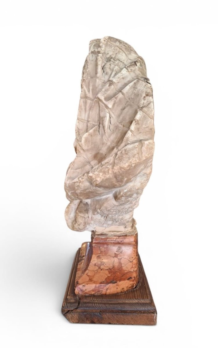 Bust Depicting Heraclitus-photo-2