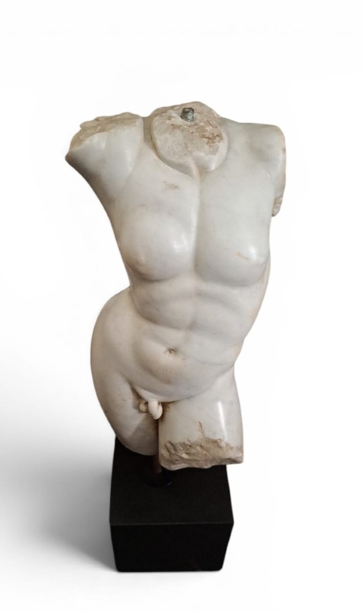 Male Torso In White Marble-photo-2