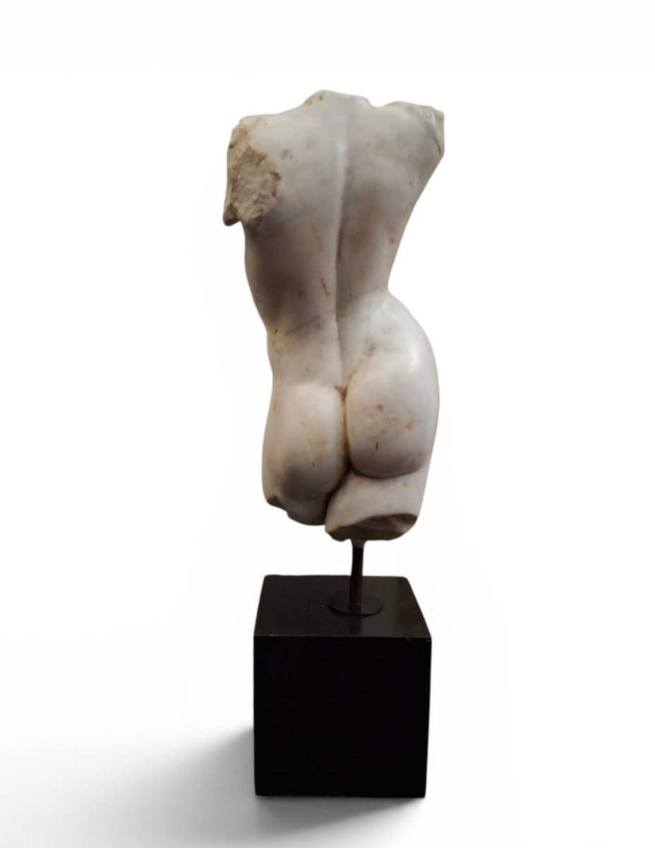 Male Torso In White Marble-photo-3