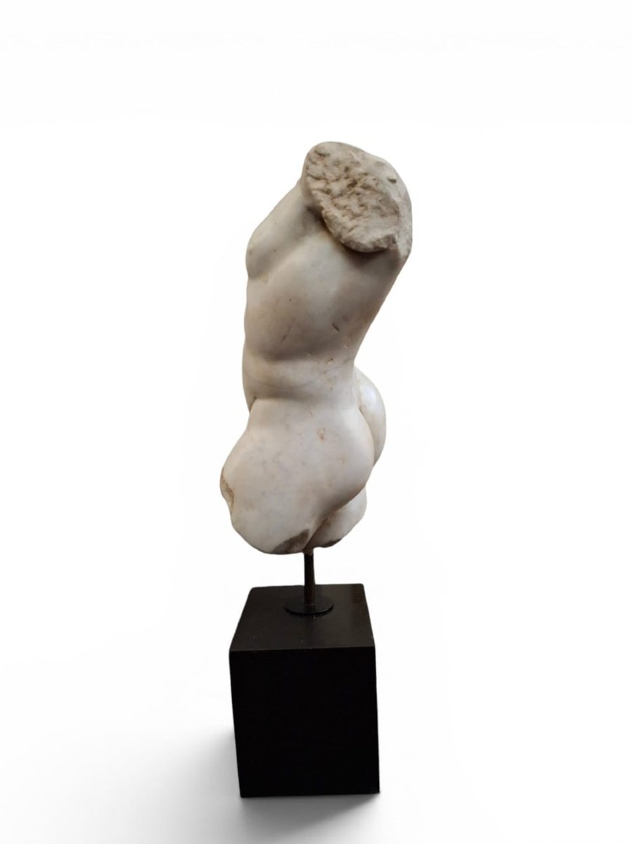 Male Torso In White Marble-photo-4