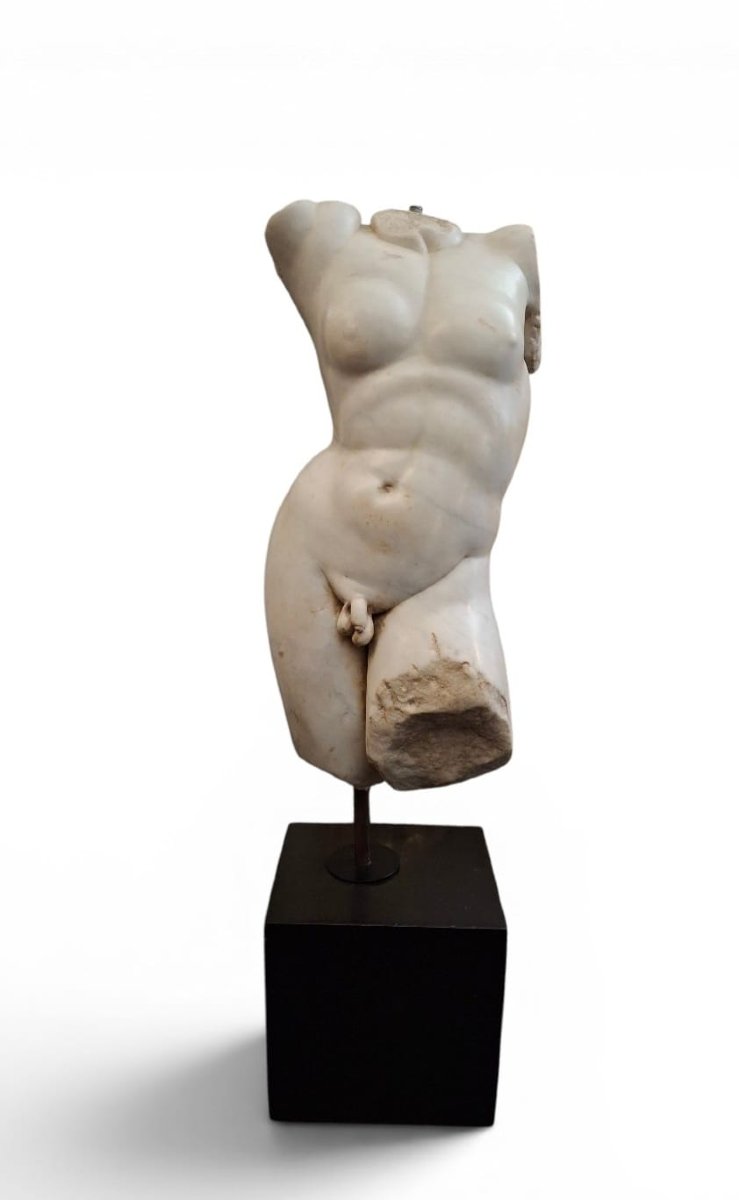 Male Torso In White Marble-photo-1