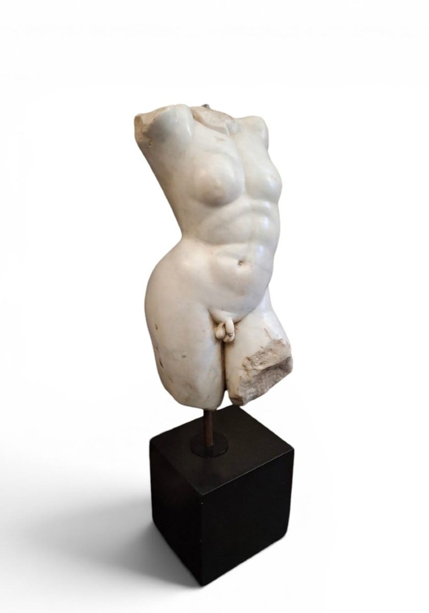 Male Torso In White Marble