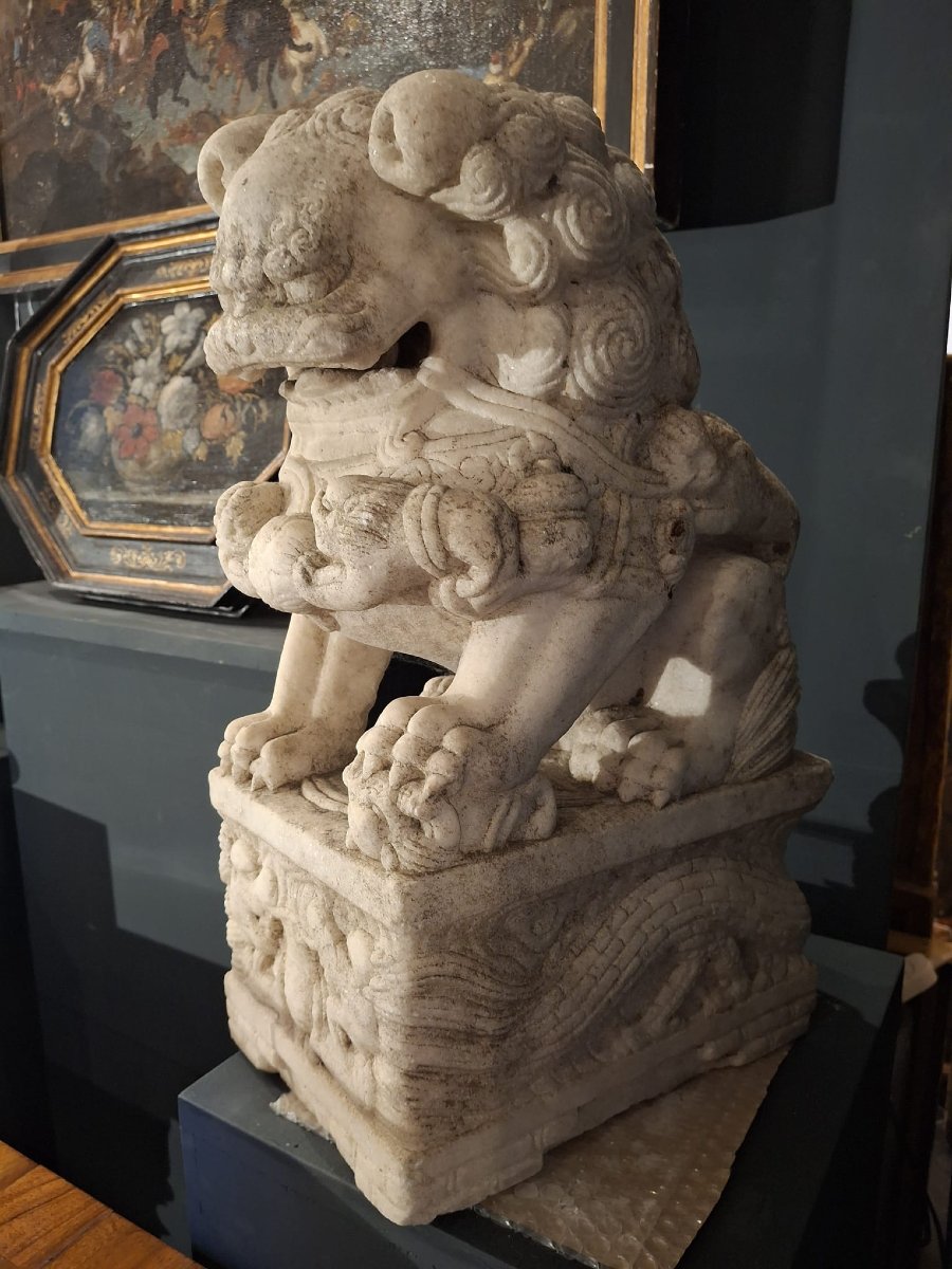 Dog Of Fo, Chinese Sculpture-photo-4