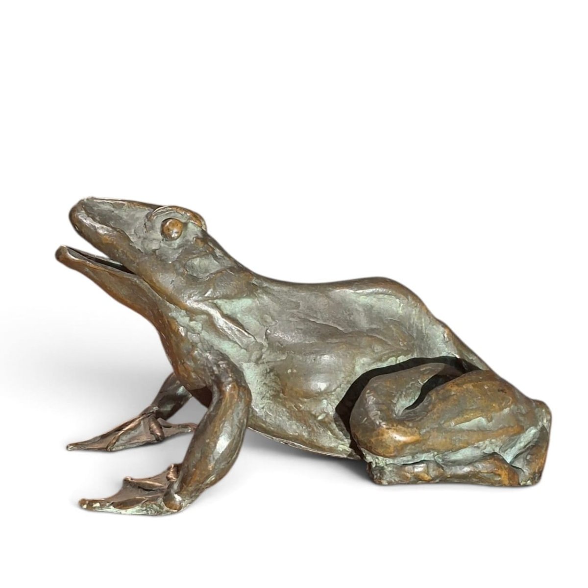 Grenouille en bronze-photo-2