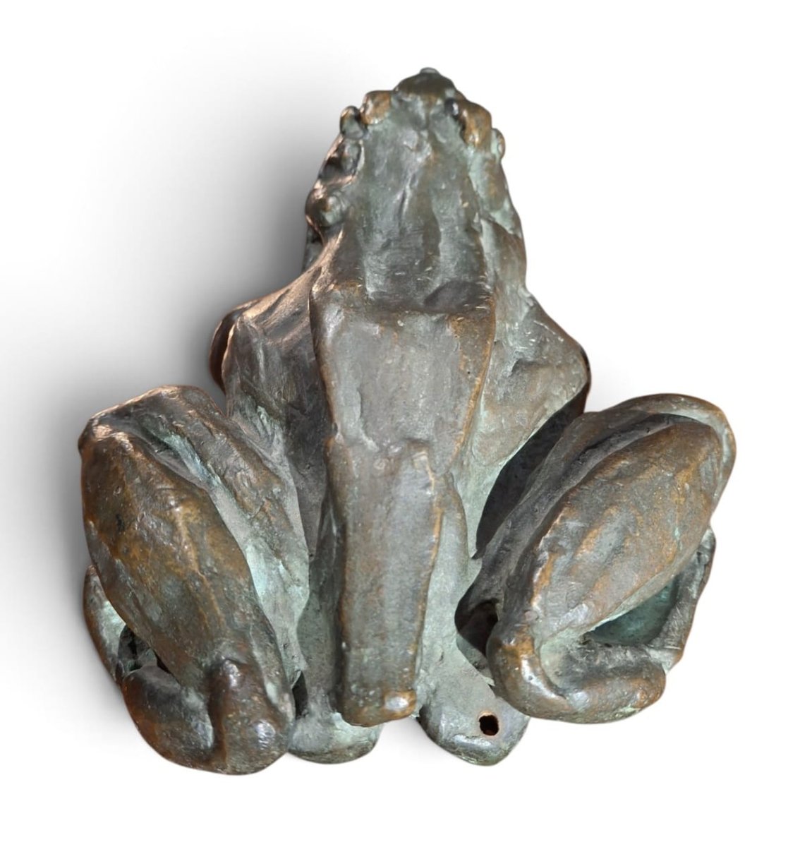 Grenouille en bronze-photo-4
