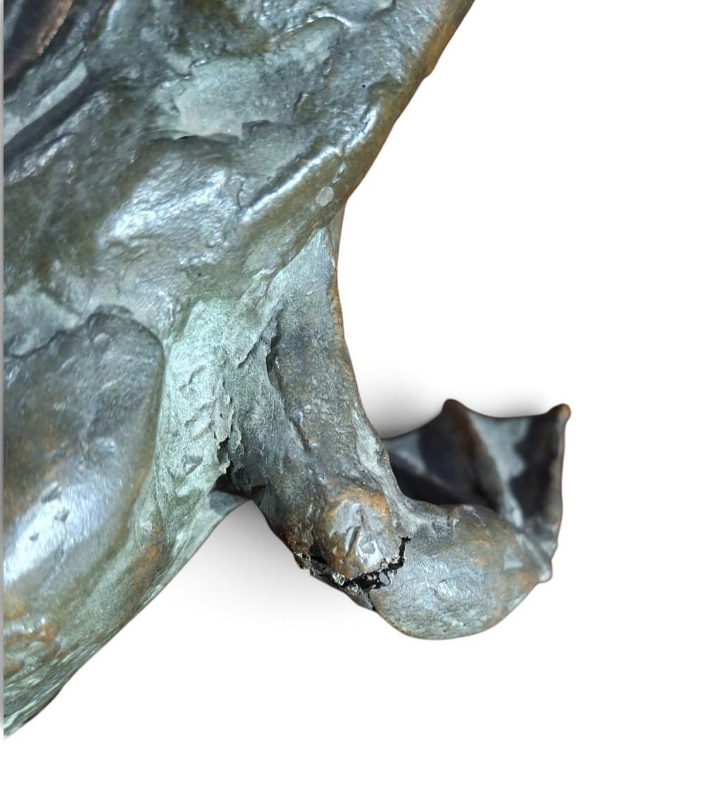 Grenouille en bronze-photo-2